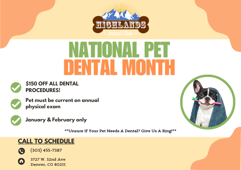 Carousel Slide 1: $150 OFF all dentals for the months of January & February!