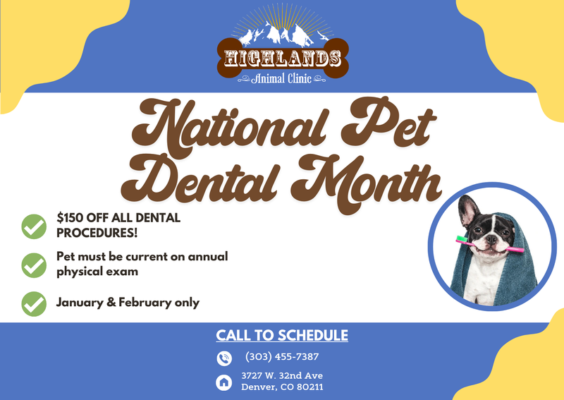 Carousel Slide 1: $150 OFF all dental procedures in January & February