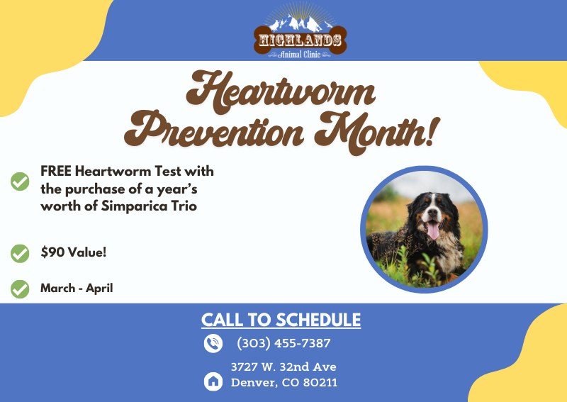 Carousel Slide 2: FREE Heartworm Testing with the purchase of a 1 year supply of Simparica Trio