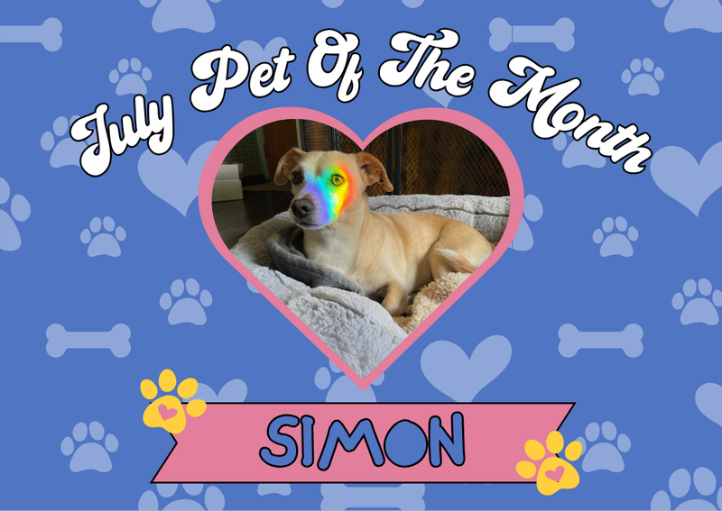 Carousel Slide 2: Pet of the Month!