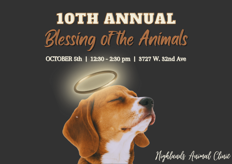 Carousel Slide 1: Blessing of the Animals: October 5th from 12:30pm - 2:30pm at Highlands Animal Clinic