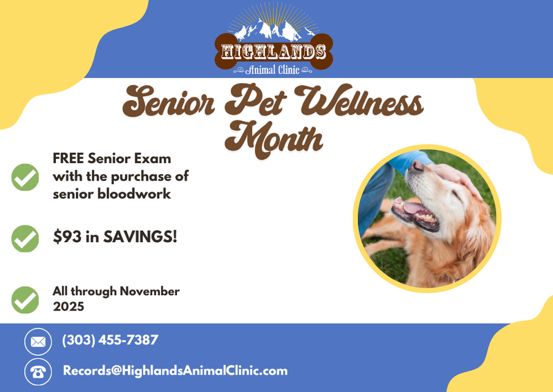 Carousel Slide 1: FREE Senior Exams With the Purchase Of Bloodwork