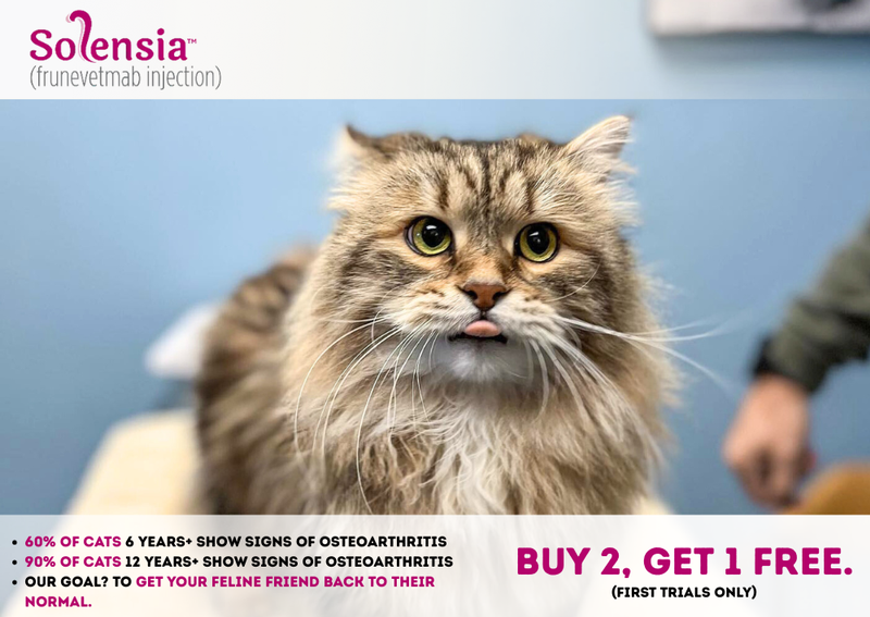 Carousel Slide 2: Solensia Promo: Buy 2 Get 1 FREE for first trials!